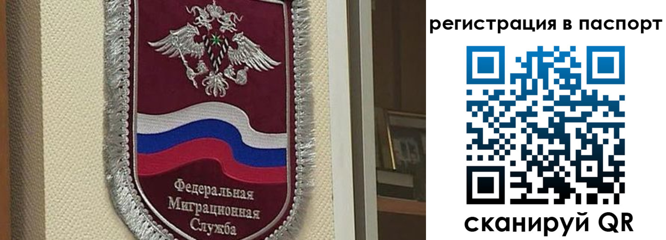 прописка законно в Могочи